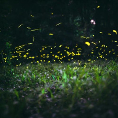 2023微信最火的头像(精选24张)