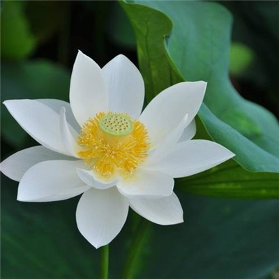 2023微信最火的头像(精选24张)