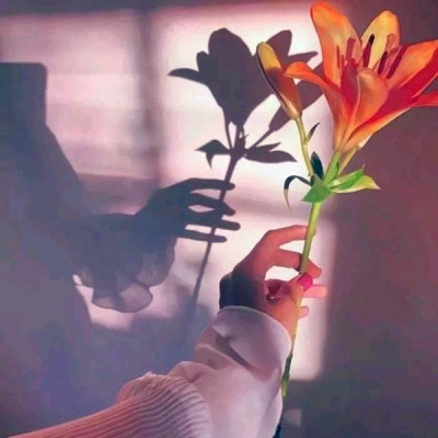 2023年微信最经典头像(精选24张)