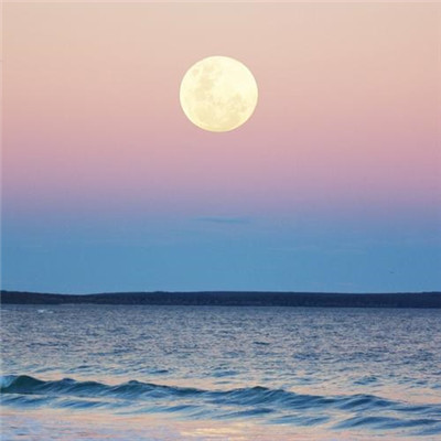 2023好看最流行的头像(30张)