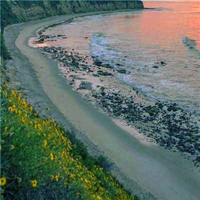 2023年最火虎抖音头像(20张)