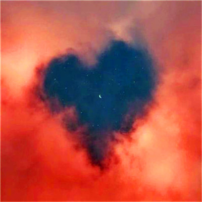 2023年最火虎抖音头像(20张)