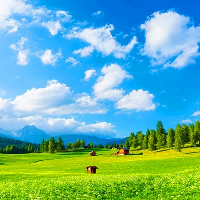 2023年最火虎抖音头像(20张)