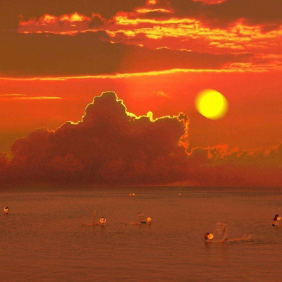 2023中年人最帅头像(16张)