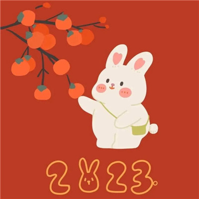 2023年最火的新年头像(精选22张)