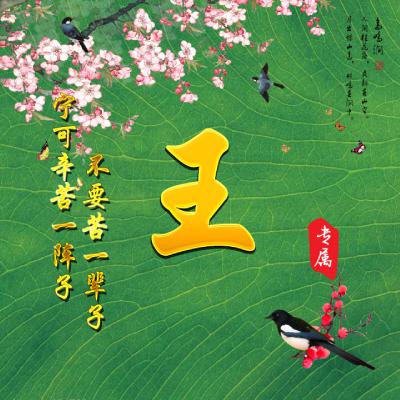 2023最火王氏微信头像(精选16张)