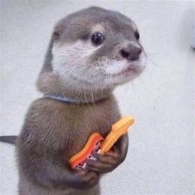 2023最火爆的沙雕头像(24张)