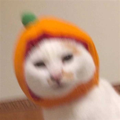 2023最火爆的沙雕头像(24张)