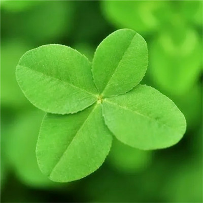 2023年最生财的头像(精选24张)