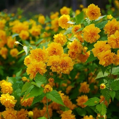 专属2023最火景色头像(18张)