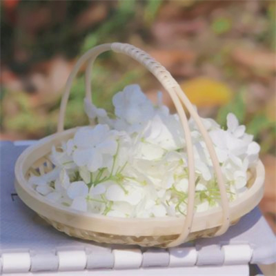 专属2023最火景色头像(18张)