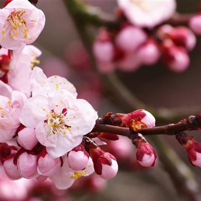 专属2023最火景色头像(18张)