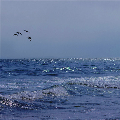 专属2023最火景色头像(18张)