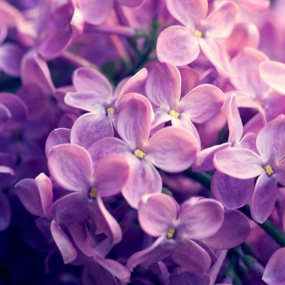 专属2023最火景色头像(18张)