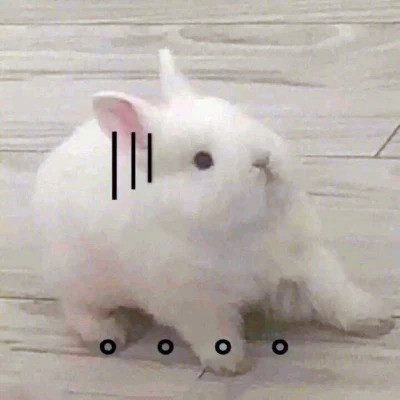 2023最火的动物头像(24张)