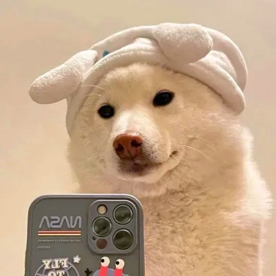 2023最火的动物头像(24张)