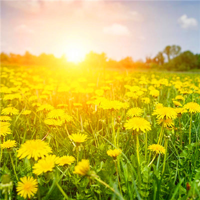 2023最吉祥微信头像(20张)