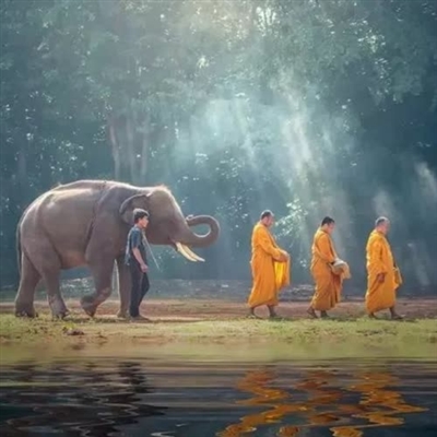 2023最佛系的微信头像(精选16张)