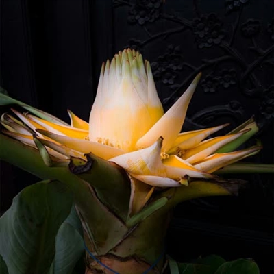 2023最佛系的微信头像(精选16张)