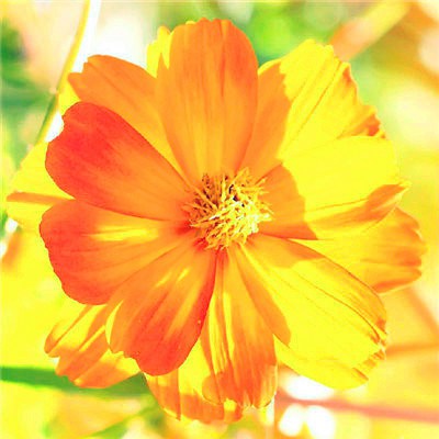 2023年最牛微信头像(精选22张)