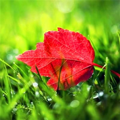 2023年最牛微信头像(精选22张)