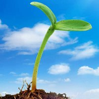 2023最奋斗的微信头像(精选10张)