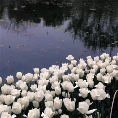 2023年最火的伤感头像(精选24张)