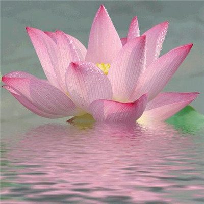 2023最火好看超清头像(精选24张)