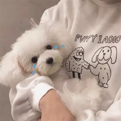 2023年最网红的头像(12张)