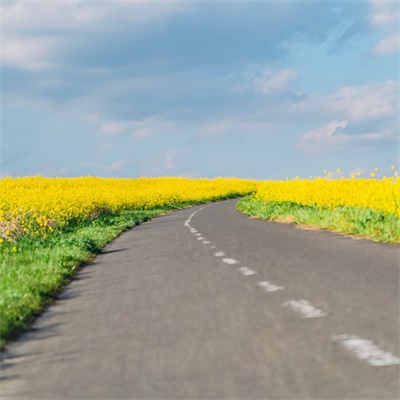 2023属龙女最吉利头像(精选14张)