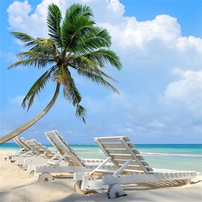 2023属龙女最吉利头像(精选14张)