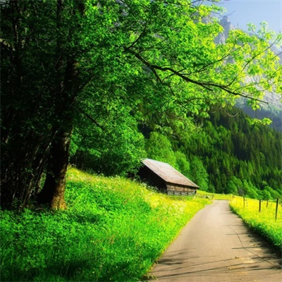 2023属龙女最吉利头像(精选14张)