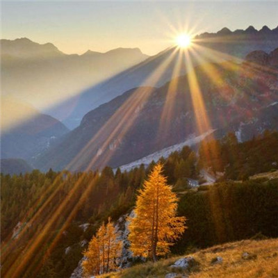 2023年的最火头像(精选24张)