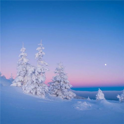 2023年的最火头像(精选24张)