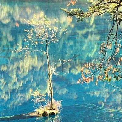 2023年的最火头像(精选24张)