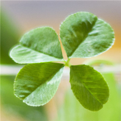 2023最火小朋友头像(24张)