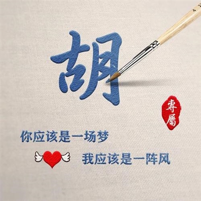 2023胡姓最红头像(22张)