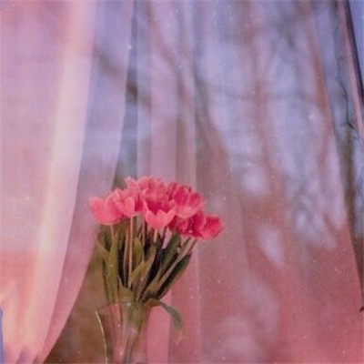 2023年最火爆风景头像(精选24张)