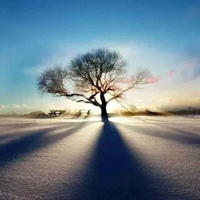 女人专用的微信头像日出的(精选22张)