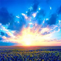 女人专用的微信头像日出的(精选22张)