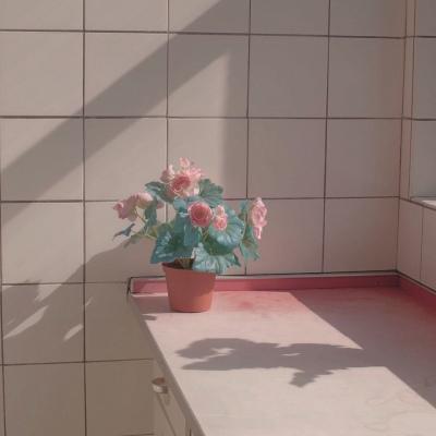 让人一看就很舒服的头像(28张)