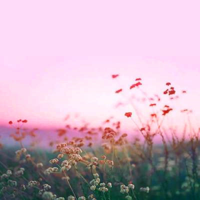 2023年最吉祥风景微信头像(精选26张)