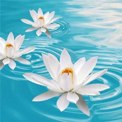 2023最火的图片头像(20张)