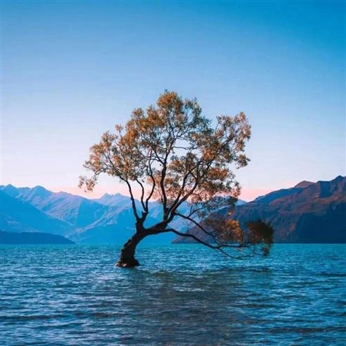 最好看的微信头像风景(18张)