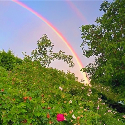 最新好看的微信头像风景图片大全(精选24张)