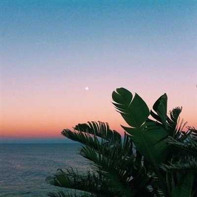 最新好看的微信头像风景图片大全(精选24张)