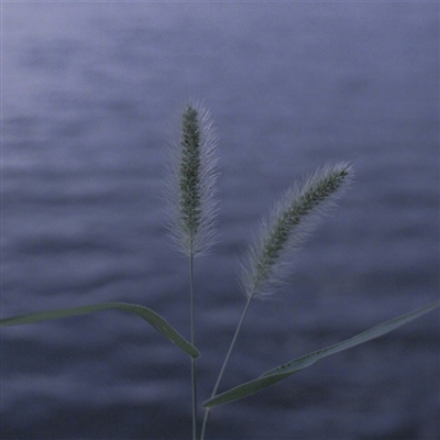 超好看的微信风景头像(精选18张)