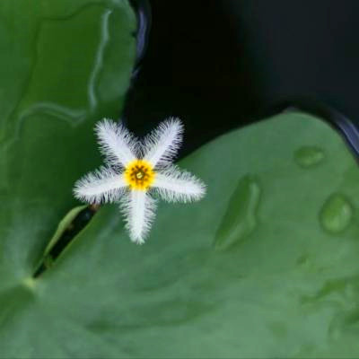 百看不厌的景色微信头像(精选18张)