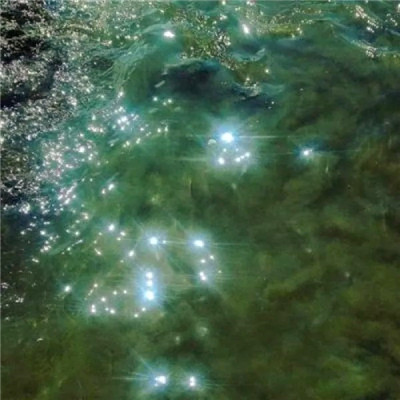 百看不厌的景色微信头像(精选18张)