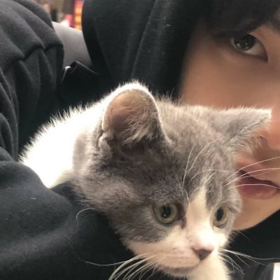 微信好看的男头(16张)